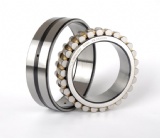 NN Series Bearing