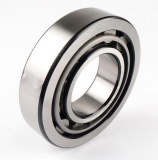 NUP Series Bearing