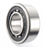 NU Series Bearing